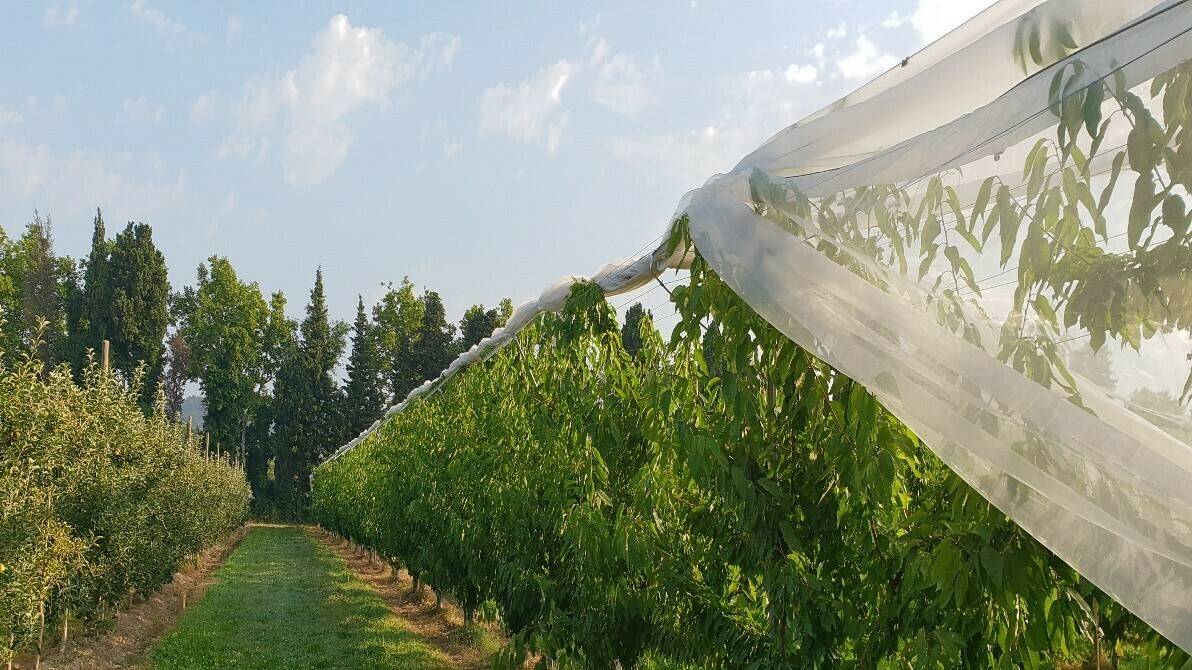 Protecta Ultra 16|Protecta Ultra_3|Protecta ultra_4 baja